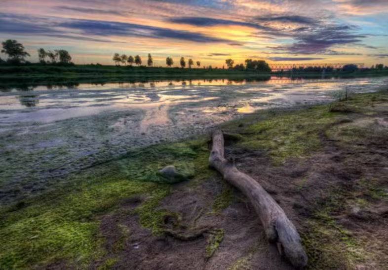 【镍超标791倍】沈阳某电镀厂电镀废水未经处理直接排放|91香蕉下载污环保91香蕉APP破解版下载苹果
