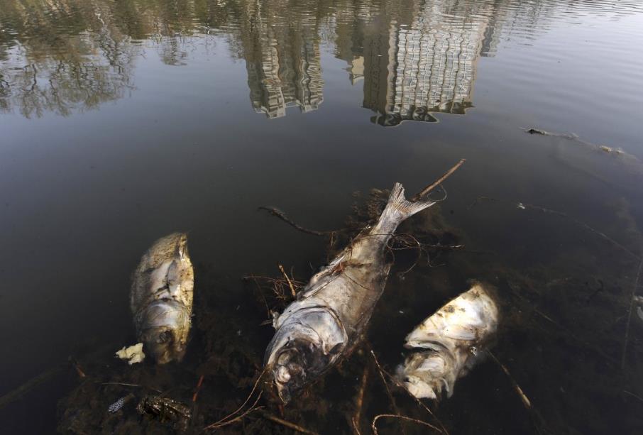 【铁腕处理】广州一食品厂涉嫌偷排被查|91香蕉下载污|91香蕉下载污环保91香蕉APP破解版下载苹果